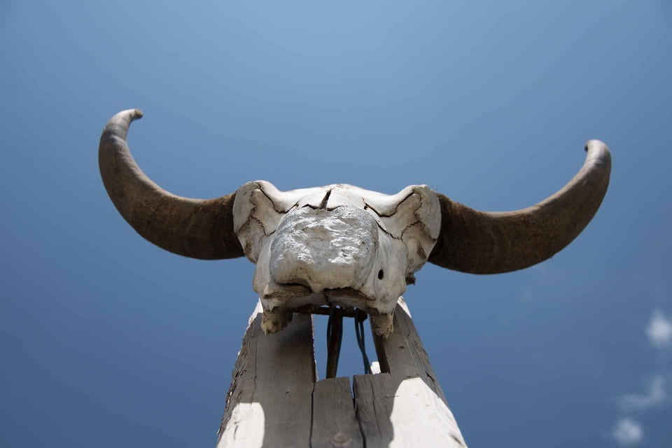 中国——照片 12